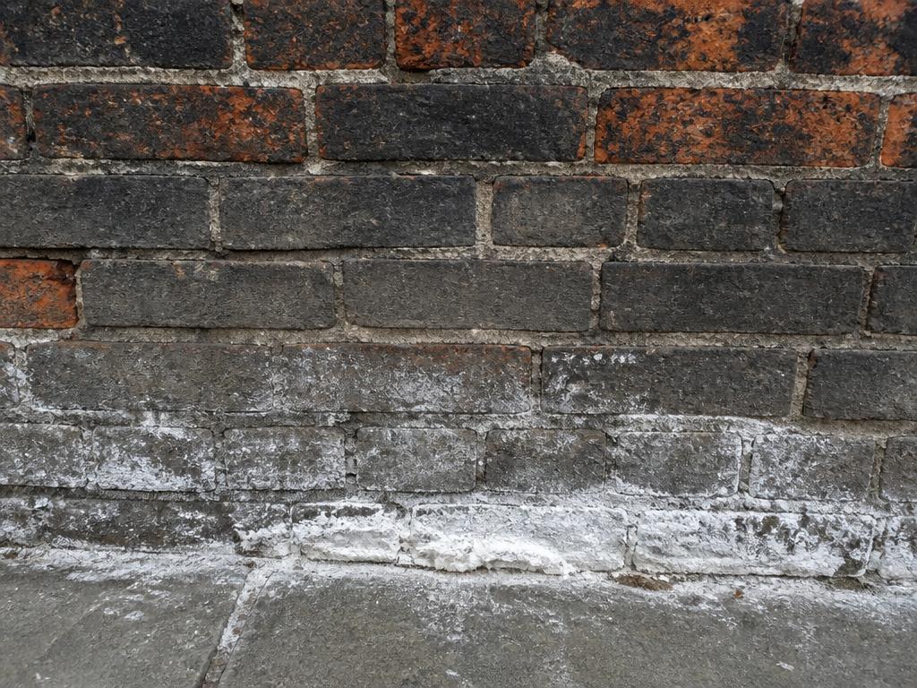 Remontées capillaires. Mesures d'humidité massique et profil vertical du mur.